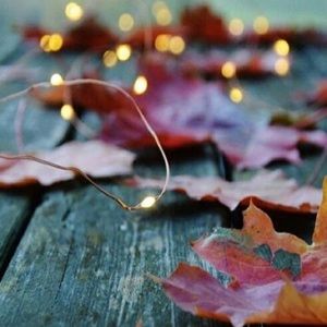 Meet your Posher, Madelene